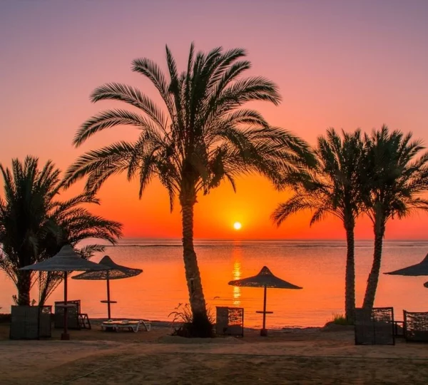 🇵🇱 Marsa Alam 🇵🇱